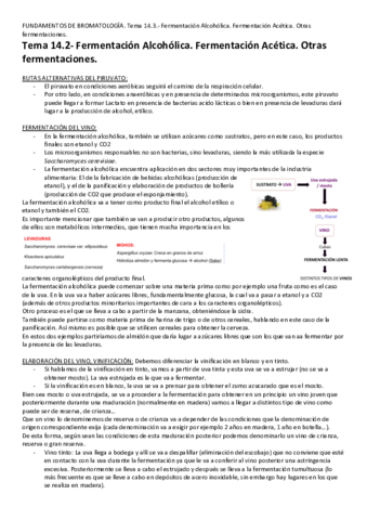 Tema-14.pdf