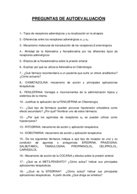PREGUNTAS DE AUTOEVALUACION.pdf