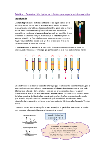 Cromatografia-colorantes.pdf