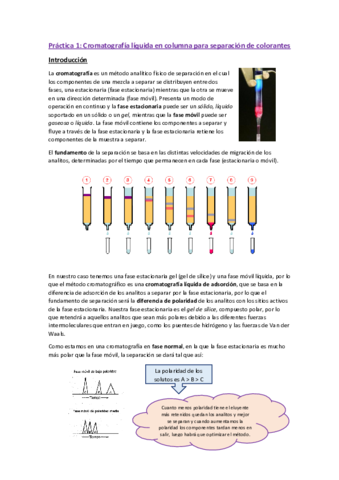 Cromatografia-colorantes.pdf