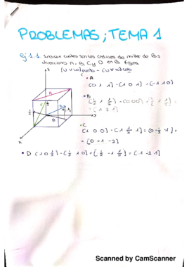 problemas tema 1_20170116231757.pdf