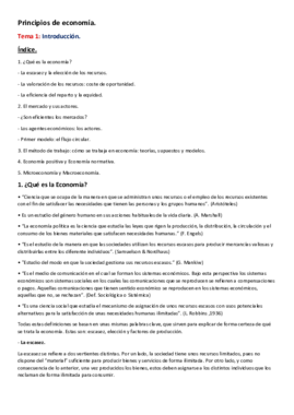 Tema 1 (micro).pdf