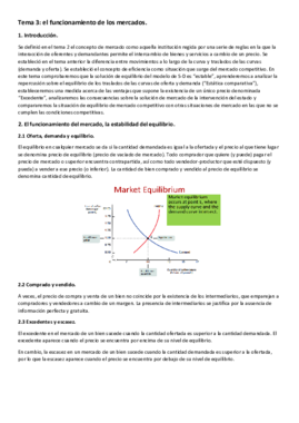 Tema 3 (micro).pdf