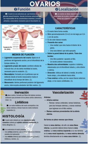 Infografia-ovario.pdf