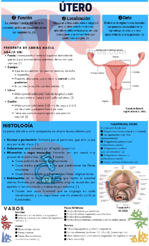Infografia-utero.pdf