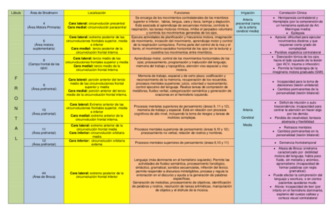 AREAS-DE-BRODMANN.pdf