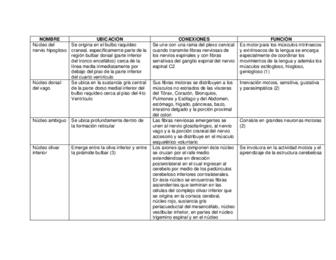 NUCLEOS-DEL-BULBO-RAQUIDEO.pdf