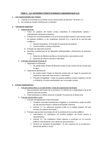 TEMA-3-T56-GARRORENA.pdf