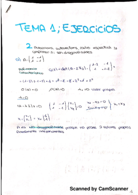 ejercicios tema 1_20170116210924.pdf