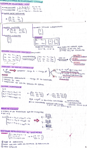 sistema-de-ecuacion-lineales-y-programacion-lineal-.pdf