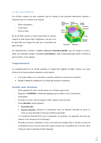La-cellula-vegetal.pdf