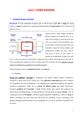 FISIO-TEORIA-4.pdf