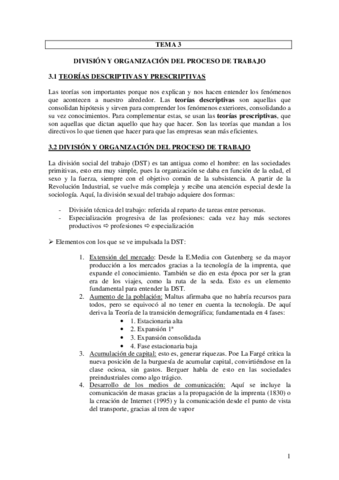 TEMA 3.pdf