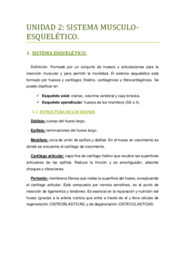 UNIDAD 2 Sistema Musculo-Esqueletico..pdf