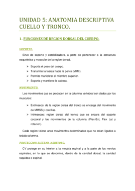 UNIDAD 5 Cuello y Tronco..pdf