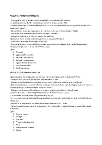 Respuestas-cortas.pdf