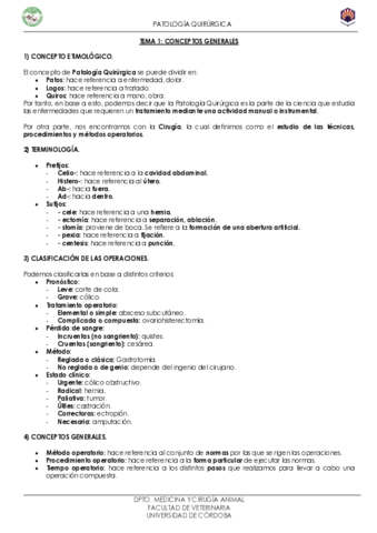 TEMA-1-CONCEPTOS-GENERALES.pdf