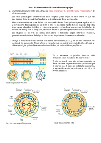 Cuestionario-resuelto-del-T10-Estructuras-microtubulares-complejas.pdf