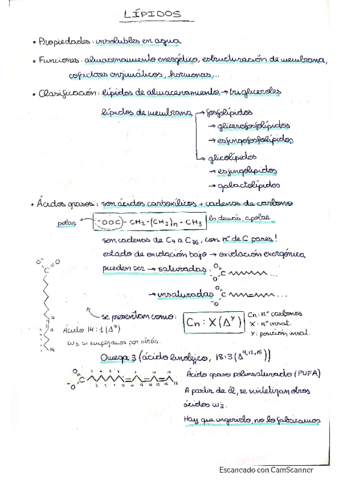Lipidos-y-Membranas-Lipidicas.pdf