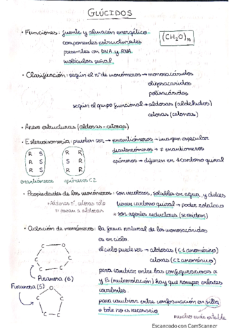 Glucidos-y-Glicoconjugados.pdf