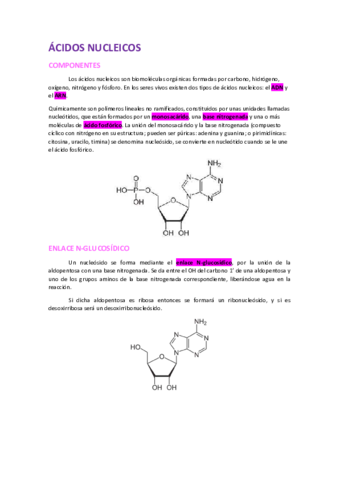 ACIDOS-NUCLEICOS.pdf