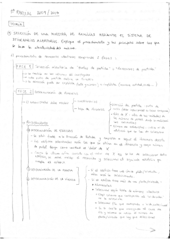 Primer-parcial-20092010.pdf