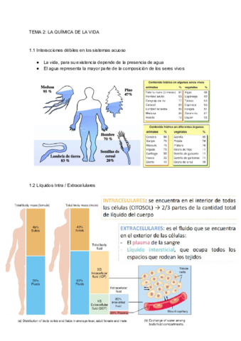 TEMA-2-LA-QUIMICA-DE-LA-VIDA.pdf
