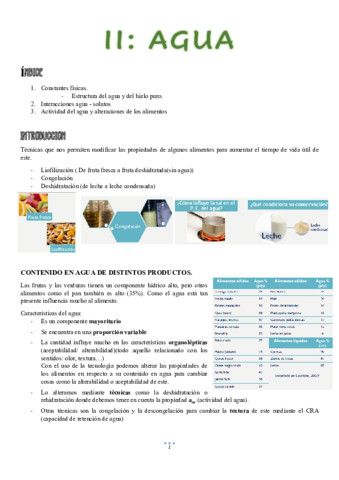 TEMA-2.pdf