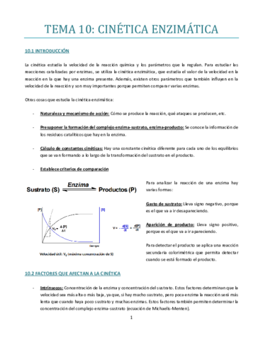 TEMA-10-A.pdf