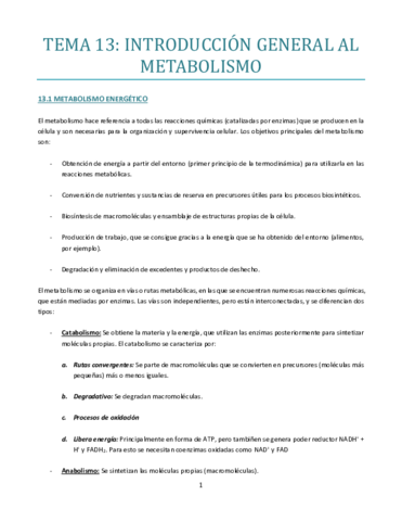 TEMA-13-A.pdf