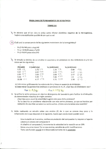 Scan-temas-3-6.pdf