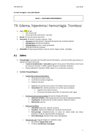 APA-Notes-segon-parcial.pdf