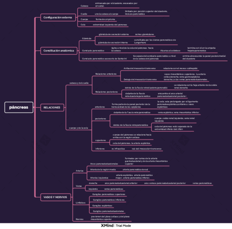 pancreas.pdf