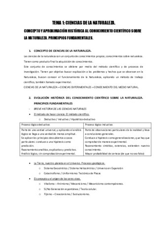 TEMA-1-n.pdf