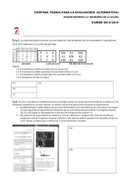 Examen Febrero 2013-2014.pdf