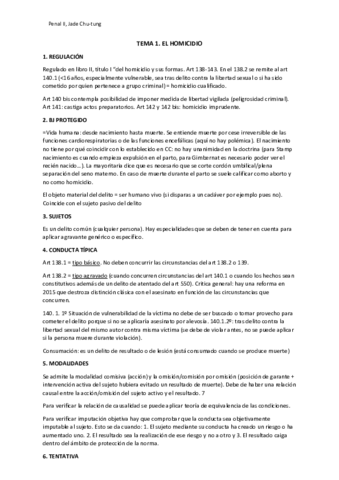 Derecho-penal-2.pdf