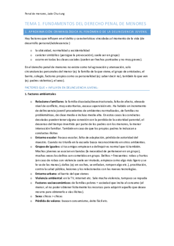 Derecho-penal-de-menores.pdf