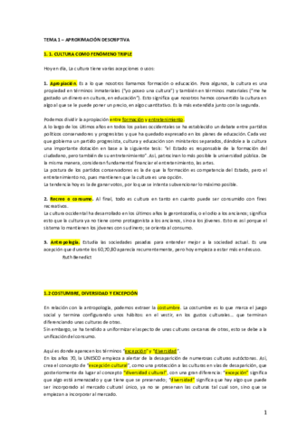 Comunicacion-y-cultura-parte1.pdf