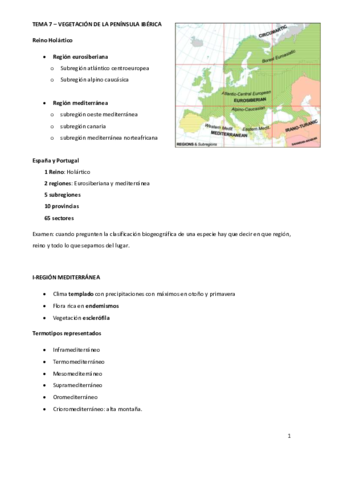 TEMA-7.pdf