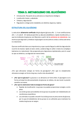 TEMA-3.pdf