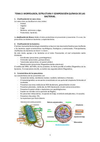 Tema-2-Morfologia-estructura-y-composicion-quimica-de-las-bacterias.pdf