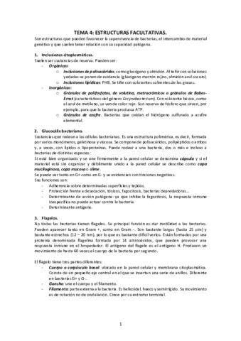 Tema-4-Estructuras-facultativas.pdf