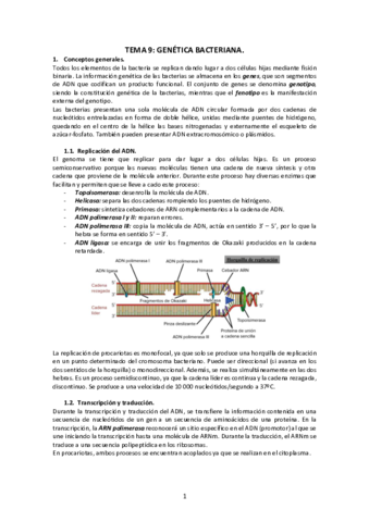 Tema-9-Genetica-bacteriana.pdf