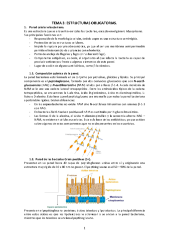 Tema-3-Estructuras-obligatorias.pdf