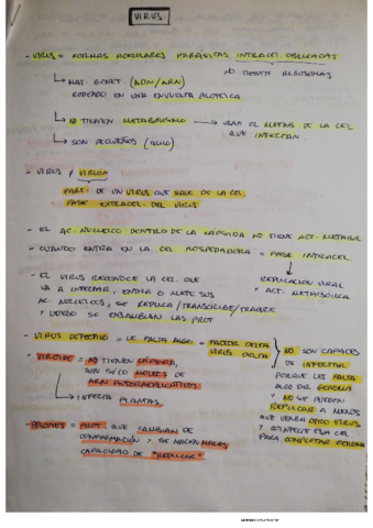 virus.pdf