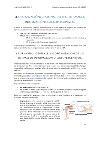 TEMA-3.pdf
