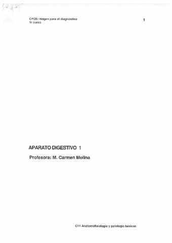 dosier-resuelto-aparato-digestivo.pdf