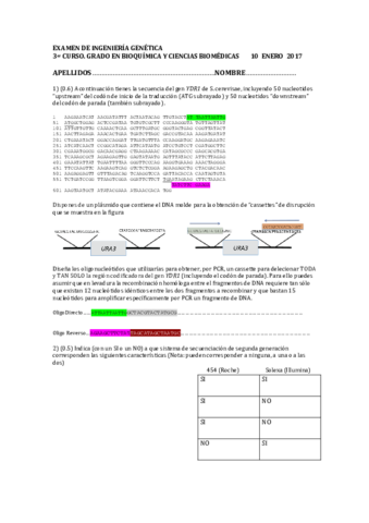 Examen-IG-Enero-2017.pdf