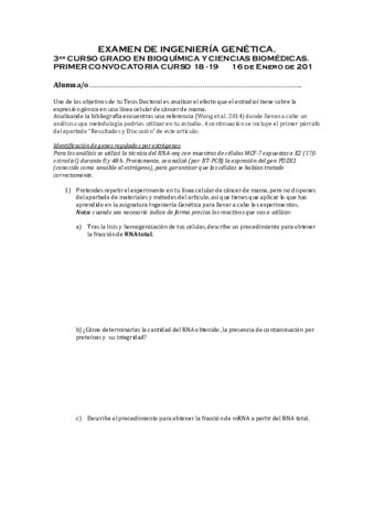 Examen-IG-Enero-2019.pdf