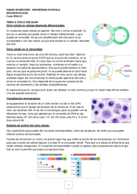 Tema 5 Biologia celular.pdf